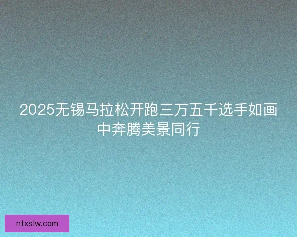2025无锡马拉松开跑三万五千选手如画中奔腾美景同行
