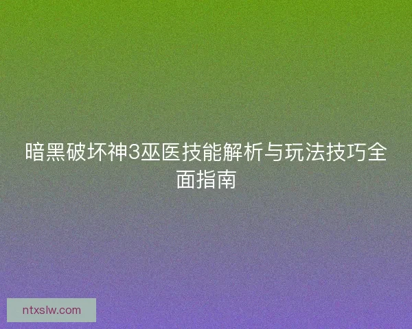 暗黑破坏神3巫医技能解析与玩法技巧全面指南
