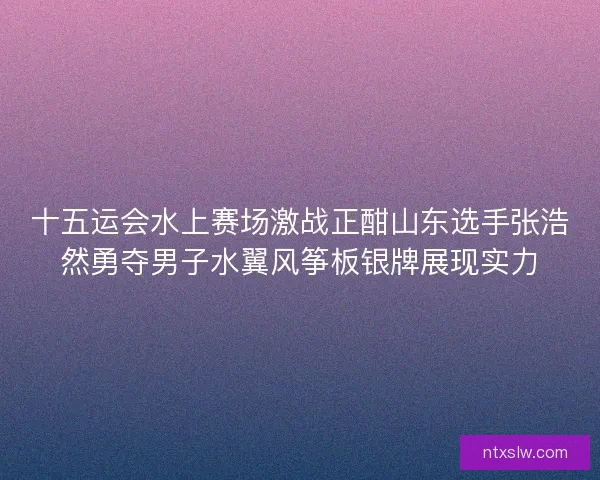 十五运会水上赛场激战正酣山东选手张浩然勇夺男子水翼风筝板银牌展现实力