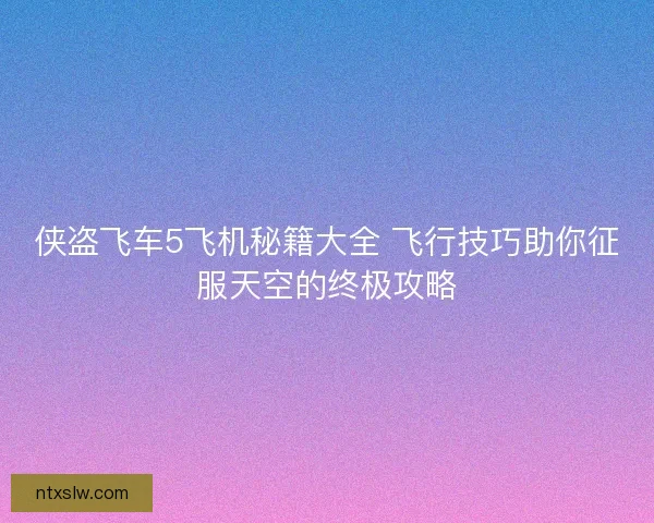 侠盗飞车5飞机秘籍大全 飞行技巧助你征服天空的终极攻略 侠盗飞车5飞机秘籍大全 飞行技巧助你征服天空的终极攻略
